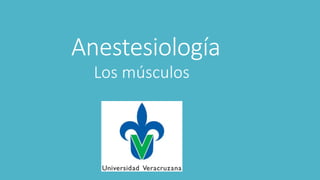 Anestesiología
Los músculos
 