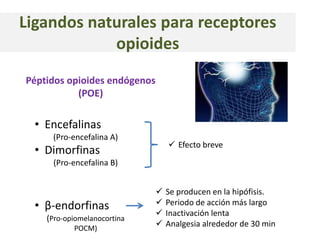 Ligandos naturales para receptores
            opioides
Péptidos opioides endógenos
           (POE)

  • Encefalinas
     (Pro-encefalina A)
                                   Efecto breve
  • Dimorfinas
     (Pro-encefalina B)


                                 Se producen en la hipófisis.
  • β-endorfinas                 Periodo de acción más largo
                                 Inactivación lenta
    (Pro-opiomelanocortina
           POCM)
                                 Analgesia alrededor de 30 min
 