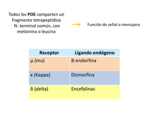 Todos los POE comparten un
  fragmento tetrapeptídico
   N- terminal común, con           Función de señal o mensajera
     metionina o leucina



              Receptor        Ligando endógeno
          μ (mu)             Β-endorfina

          κ (Kappa)          Dismorfina

          δ (delta)          Encefalinas
 