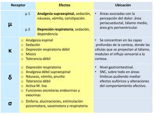 Receptor                        Efectos                           Ubicación

         μ1       Analgesia supraespinal, sedación,   • Áreas asociadas con la
                  náuseas, vómito, constipación.        percepción del dolor: área
μ                                                       periacueductal, tálamo medio,
                                                        área gris periventricular.
         μ2       Depresión respiratoria, sedación,
                  dependencia
     o     Analgesia espinal                          • Se concentran en las capas
     o     Sedación                                    profundas de la corteza, donde las
κ    o
     o
           Depresión respiratoria débil
           Miosis
                                                      células que se proyectan al tálamo,
                                                      modulan el influjo sensorial a la
     o     Tolerancia débil                           corteza.

     o     Depresión respiratoria                     • Nivel gastrointestinal.
     o     Analgesia débil supraespinal               • SNC, sobre todo en áreas
δ    o
     o
           Náuseas, vómito, prurito
           Tolerancia débil
                                                        límbicas pudiendo mediar
                                                        efectos eufóricos y alteraciones
     o     Activa M. liso                               del comportamiento afectivo.
     o     Funciones secretoras endocrinas y
           exocrinas
     o Disforia, alucinaciones, estimulación
σ      psicomotora, vasomotora y respiratoria
 