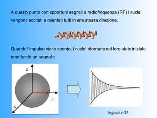 A questo punto con opportuni segnali a radiofrequenza (RF) i nuclei
vengono eccitati e orientati tutti in una stessa direzione.




Quando l’impulso viene spento, i nuclei ritornano nel loro stato iniziale
emettendo un segnale:




                                                     Segnale  FID	
 