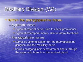 Maxillary Division (V2):
• Within the pterygopalatine fossa-
  – Pterygopalatine nerves:
     • Pharyngeal branch- exits t...
