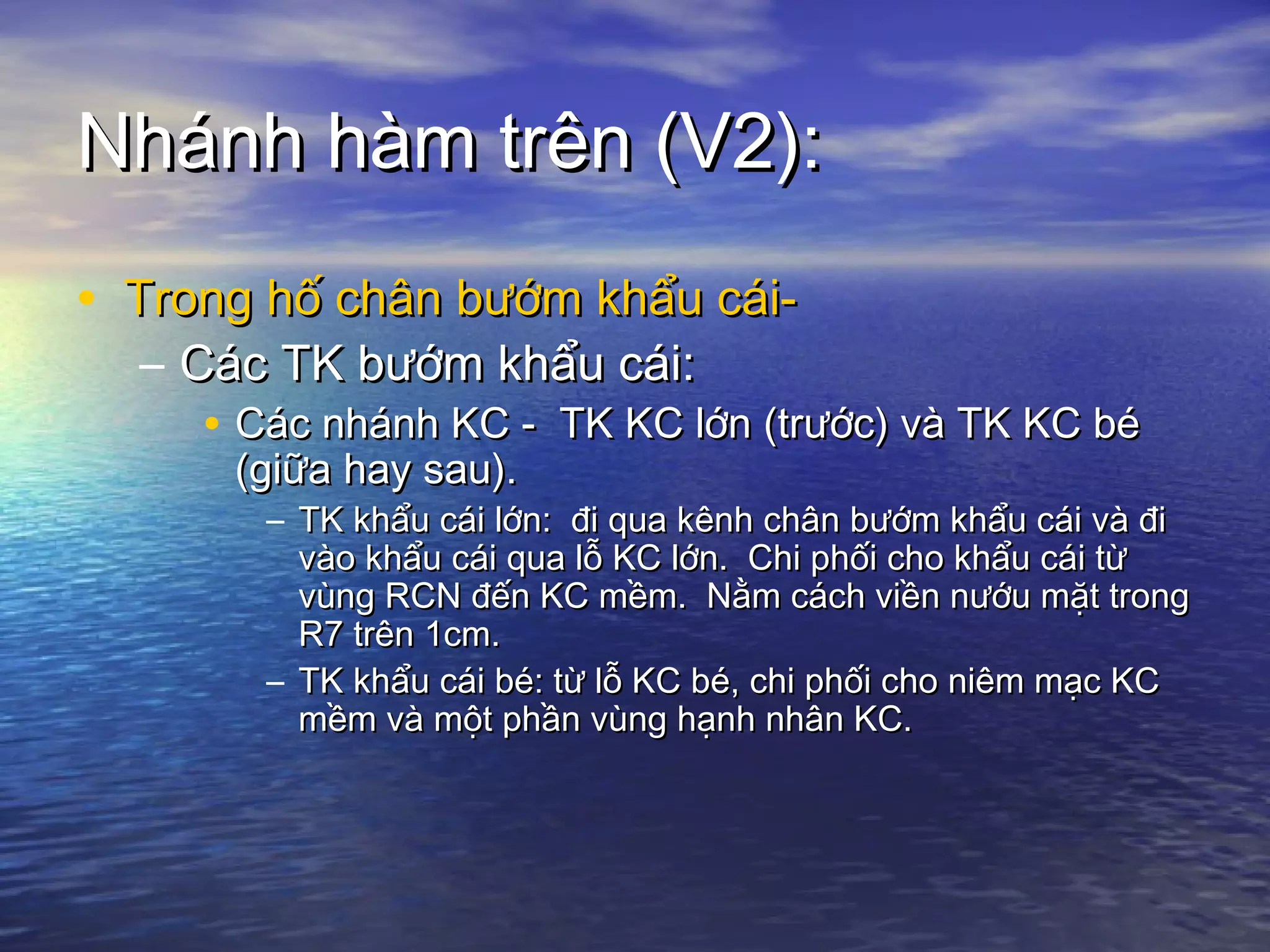 Nhánh hàm trên (V2):Nhánh hàm trên (V2):
• Trong hố chân bướm khẩu cái-Trong hố chân bướm khẩu cái-
– Các TK bướm khẩu cái:Các TK bướm khẩu cái:
• Các nhánh KC - TK KC lớn (trước) và TK KC béCác nhánh KC - TK KC lớn (trước) và TK KC bé
(giữa hay sau).(giữa hay sau).
– TK khẩu cái lớn: đi qua kênh chân bướm khẩu cái và điTK khẩu cái lớn: đi qua kênh chân bướm khẩu cái và đi
vào khẩu cái qua lỗ KC lớn. Chi phối cho khẩu cái từvào khẩu cái qua lỗ KC lớn. Chi phối cho khẩu cái từ
vùng RCN đến KC mềm. Nằm cách viền nướu mặt trongvùng RCN đến KC mềm. Nằm cách viền nướu mặt trong
R7 trên 1cm.R7 trên 1cm.
– TK khẩu cái bé: từ lỗ KC bé, chi phối cho niêm mạc KCTK khẩu cái bé: từ lỗ KC bé, chi phối cho niêm mạc KC
mềm và một phần vùng hạnh nhân KC.mềm và một phần vùng hạnh nhân KC.
 