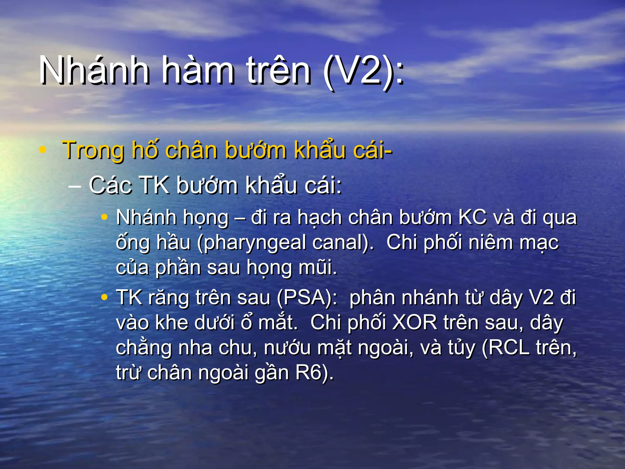 Nhánh hàm trên (V2):Nhánh hàm trên (V2):
• Trong hố chân bướm khẩu cái-Trong hố chân bướm khẩu cái-
– Các TK bướm khẩu cái:Các TK bướm khẩu cái:
• Nhánh họng – đi ra hạch chân bướm KC và đi quaNhánh họng – đi ra hạch chân bướm KC và đi qua
ống hầu (pharyngeal canal). Chi phối niêm mạcống hầu (pharyngeal canal). Chi phối niêm mạc
của phần sau họng mũi.của phần sau họng mũi.
• TK răng trên sau (PSA): phân nhánh từ dây V2 điTK răng trên sau (PSA): phân nhánh từ dây V2 đi
vào khe dưới ổ mắt. Chi phối XOR trên sau, dâyvào khe dưới ổ mắt. Chi phối XOR trên sau, dây
chằng nha chu, nướu mặt ngoài, và tủy (RCL trên,chằng nha chu, nướu mặt ngoài, và tủy (RCL trên,
trừ chân ngoài gần R6).trừ chân ngoài gần R6).
 