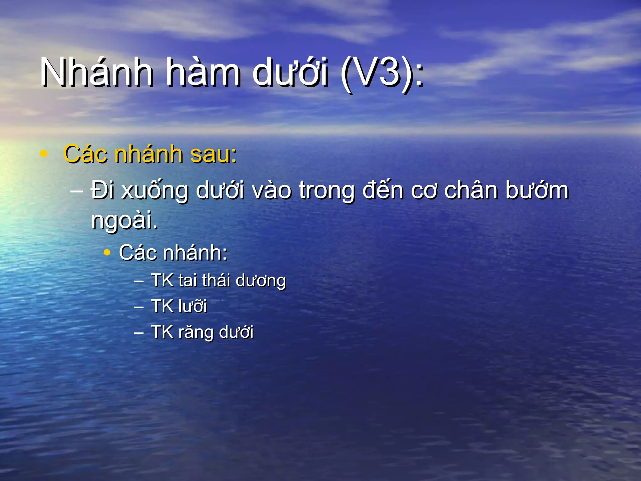 Nhánh hàm dưới (V3):Nhánh hàm dưới (V3):
• Các nhánh sau:Các nhánh sau:
– Đi xuống dưới vào trong đến cơ chân bướmĐi xuống dưới vào trong đến cơ chân bướm
ngoài.ngoài.
• Các nhánh:Các nhánh:
– TK tai thái dươngTK tai thái dương
– TK lưỡiTK lưỡi
– TK răng dướiTK răng dưới
 