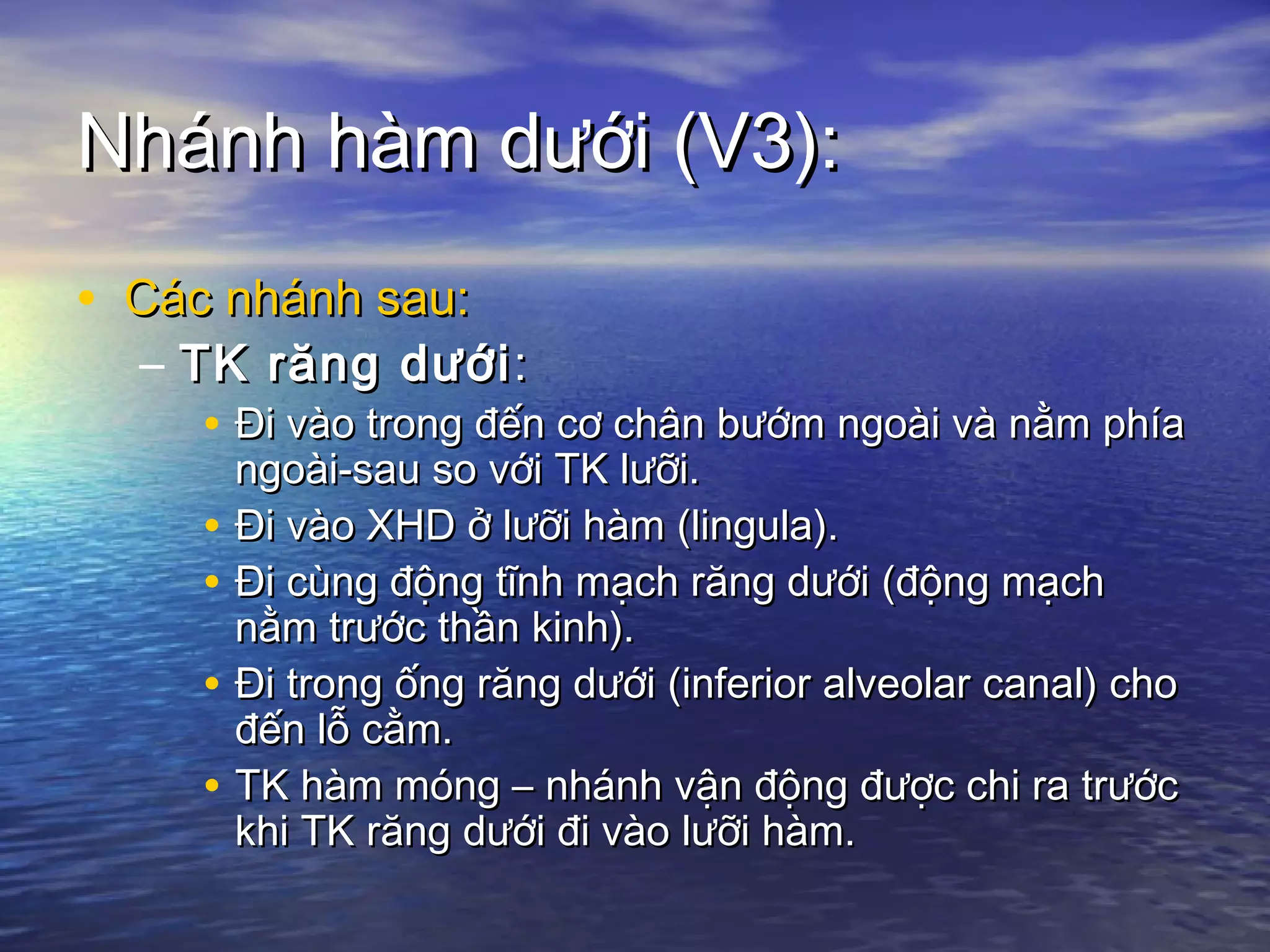 Nhánh hàm dưới (V3):Nhánh hàm dưới (V3):
• Các nhánh sau:Các nhánh sau:
– TK răng dướiTK răng dưới::
• Đi vào trong đến cơ chân bướm ngoài và nằm phíaĐi vào trong đến cơ chân bướm ngoài và nằm phía
ngoài-sau so với TK lưỡi.ngoài-sau so với TK lưỡi.
• Đi vào XHD ở lưỡi hàm (lingula).Đi vào XHD ở lưỡi hàm (lingula).
• Đi cùng động tĩnh mạch răng dưới (động mạchĐi cùng động tĩnh mạch răng dưới (động mạch
nằm trước thần kinh).nằm trước thần kinh).
• Đi trong ống răng dưới (inferior alveolar canal) choĐi trong ống răng dưới (inferior alveolar canal) cho
đến lỗ cằm.đến lỗ cằm.
• TK hàm móng – nhánh vận động được chi ra trướcTK hàm móng – nhánh vận động được chi ra trước
khi TK răng dưới đi vào lưỡi hàm.khi TK răng dưới đi vào lưỡi hàm.
 