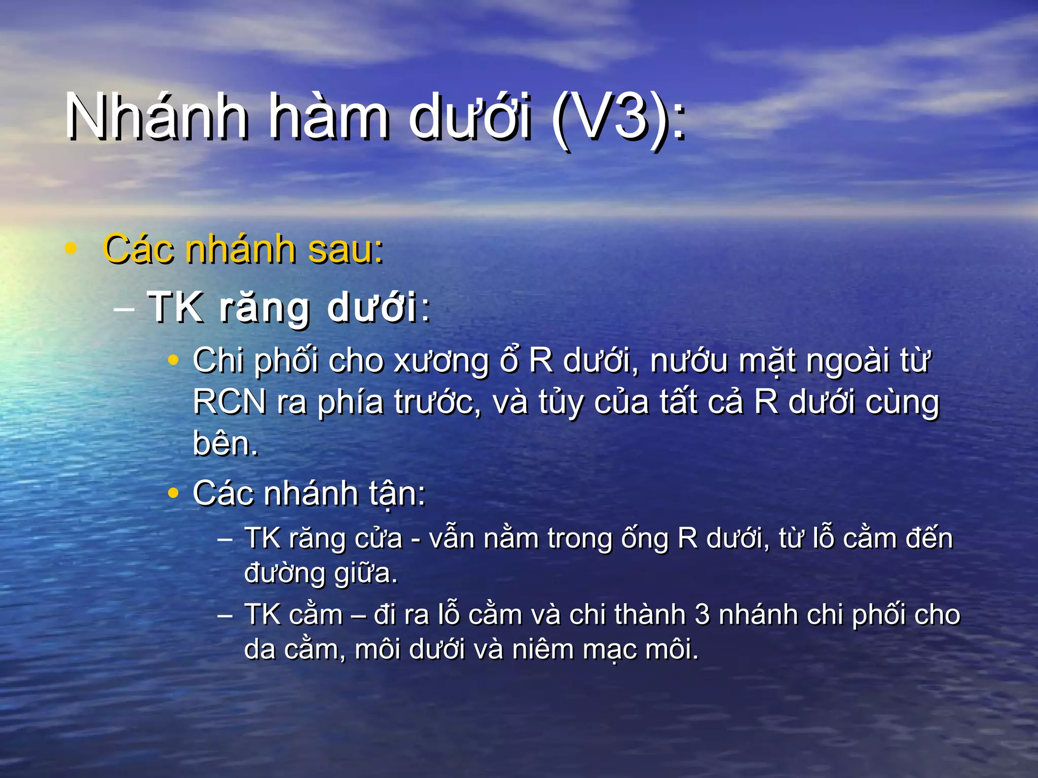Nhánh hàm dưới (V3):Nhánh hàm dưới (V3):
• Các nhánh sau:Các nhánh sau:
– TK răng dướiTK răng dưới::
• Chi phối cho xương ổ R dưới, nướu mặt ngoài từChi phối cho xương ổ R dưới, nướu mặt ngoài từ
RCN ra phía trước, và tủy của tất cả R dưới cùngRCN ra phía trước, và tủy của tất cả R dưới cùng
bên.bên.
• Các nhánh tận:Các nhánh tận:
– TK răng cửa - vẫn nằm trong ống R dưới, từ lỗ cằm đếnTK răng cửa - vẫn nằm trong ống R dưới, từ lỗ cằm đến
đường giữa.đường giữa.
– TK cằm – đi ra lỗ cằm và chi thành 3 nhánh chi phối choTK cằm – đi ra lỗ cằm và chi thành 3 nhánh chi phối cho
da cằm, môi dưới và niêm mạc môi.da cằm, môi dưới và niêm mạc môi.
 