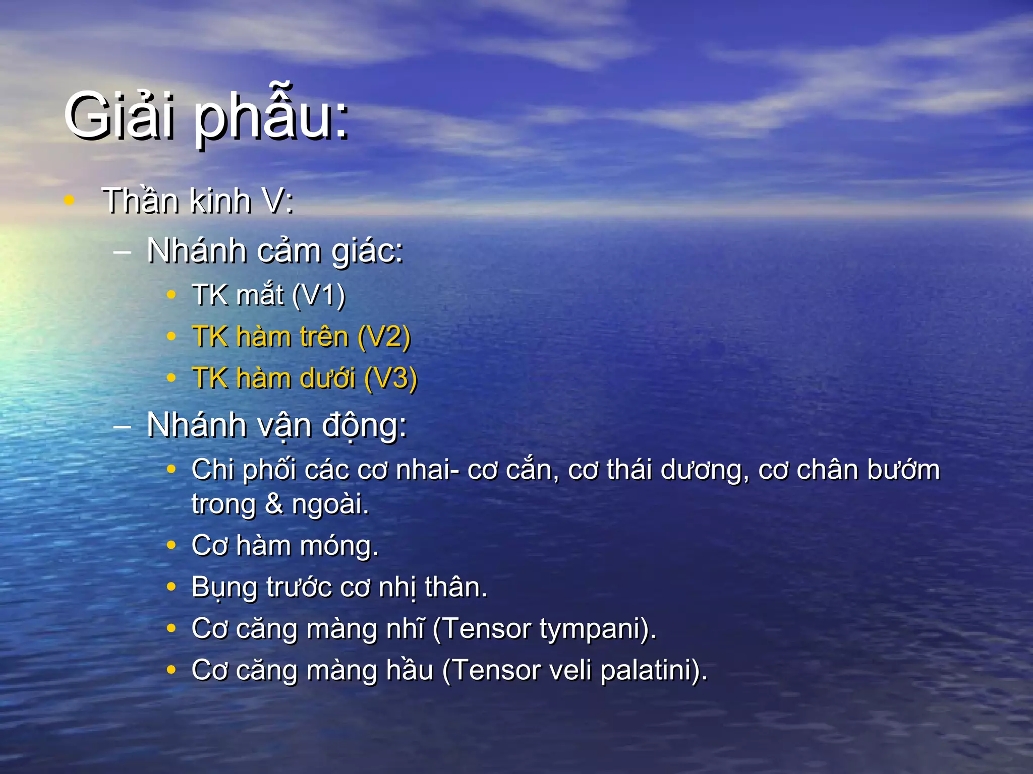 Giải phẫu:Giải phẫu:
• Thần kinh V:Thần kinh V:
– Nhánh cảm giác:Nhánh cảm giác:
• TK mắt (V1)TK mắt (V1)
• TK hàm trên (V2)TK hàm trên (V2)
• TK hàm dưới (V3)TK hàm dưới (V3)
– Nhánh vận động:Nhánh vận động:
• Chi phối các cơ nhai- cơ cắn, cơ thái dương, cơ chân bướmChi phối các cơ nhai- cơ cắn, cơ thái dương, cơ chân bướm
trong & ngoài.trong & ngoài.
• Cơ hàm móng.Cơ hàm móng.
• Bụng trước cơ nhị thân.Bụng trước cơ nhị thân.
• Cơ căng màng nhĩ (Tensor tympani).Cơ căng màng nhĩ (Tensor tympani).
• Cơ căng màng hầu (Tensor veli palatini).Cơ căng màng hầu (Tensor veli palatini).
 