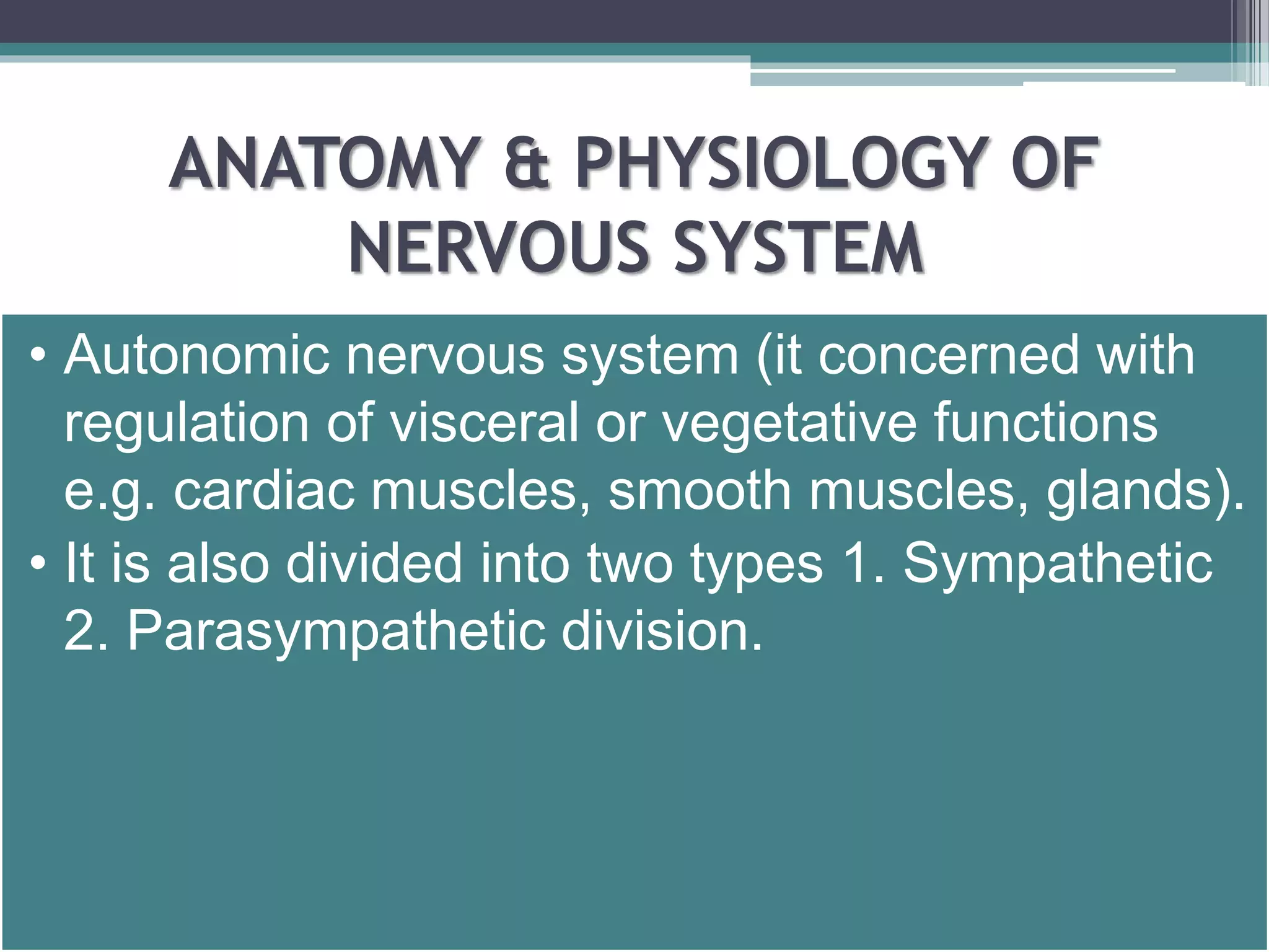 ANATOMY & PHYSIOLOGY OF 
NERVOUS SYSTEM 
• Autonomic nervous system (it concerned with 
regulation of visceral or vegetative functions 
e.g. cardiac muscles, smooth muscles, glands). 
• It is also divided into two types 1. Sympathetic 
2. Parasympathetic division. 
 