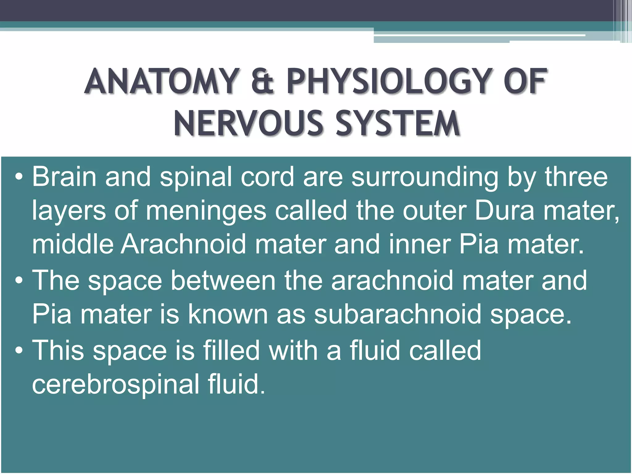 ANATOMY & PHYSIOLOGY OF 
NERVOUS SYSTEM 
• Brain and spinal cord are surrounding by three 
layers of meninges called the outer Dura mater, 
middle Arachnoid mater and inner Pia mater. 
• The space between the arachnoid mater and 
Pia mater is known as subarachnoid space. 
• This space is filled with a fluid called 
cerebrospinal fluid. 
 