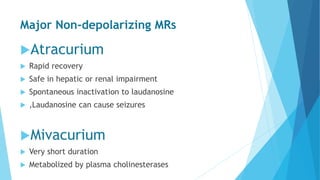 Major Non-depolarizing MRs
Atracurium
 Rapid recovery
 Safe in hepatic or renal impairment
 Spontaneous inactivation to laudanosine
 ,Laudanosine can cause seizures
Mivacurium
 Very short duration
 Metabolized by plasma cholinesterases
 