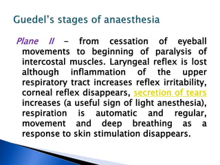 Plane II - from cessation of eyeball
movements to beginning of paralysis of
intercostal muscles. Laryngeal reflex is lost
although inflammation of the upper
respiratory tract increases reflex irritability,
corneal reflex disappears, secretion of tears
increases (a useful sign of light anesthesia),
respiration is automatic and regular,
movement and deep breathing as a
response to skin stimulation disappears.
 