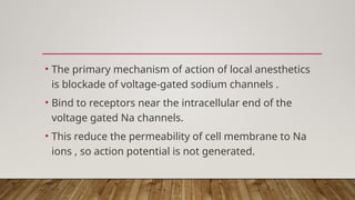 • The primary mechanism of action of local anesthetics
is blockade of voltage-gated sodium channels .
• Bind to receptors near the intracellular end of the
voltage gated Na channels.
• This reduce the permeability of cell membrane to Na
ions , so action potential is not generated.
 