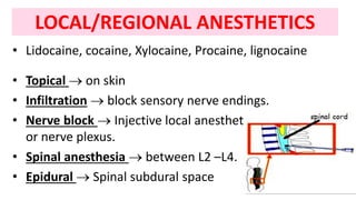 LOCAL/REGIONAL ANESTHETICS
• Lidocaine, cocaine, Xylocaine, Procaine, lignocaine
• Topical  on skin
• Infiltration  block sensory nerve endings.
• Nerve block  Injective local anesthetic around nerve
or nerve plexus.
• Spinal anesthesia  between L2 –L4.
• Epidural  Spinal subdural space
 
