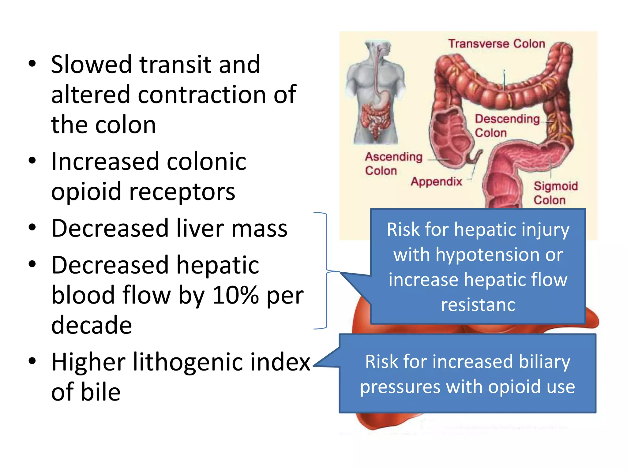 • Slowed transit and
  altered contraction of
  the colon
• Increased colonic
  opioid receptors
• Decreased liver mass         Risk for hepatic injury
                                with hypotension or
• Decreased hepatic            increase hepatic flow
  blood flow by 10% per               resistanc
  decade
• Higher lithogenic index   Risk for increased biliary
  of bile                   pressures with opioid use
 