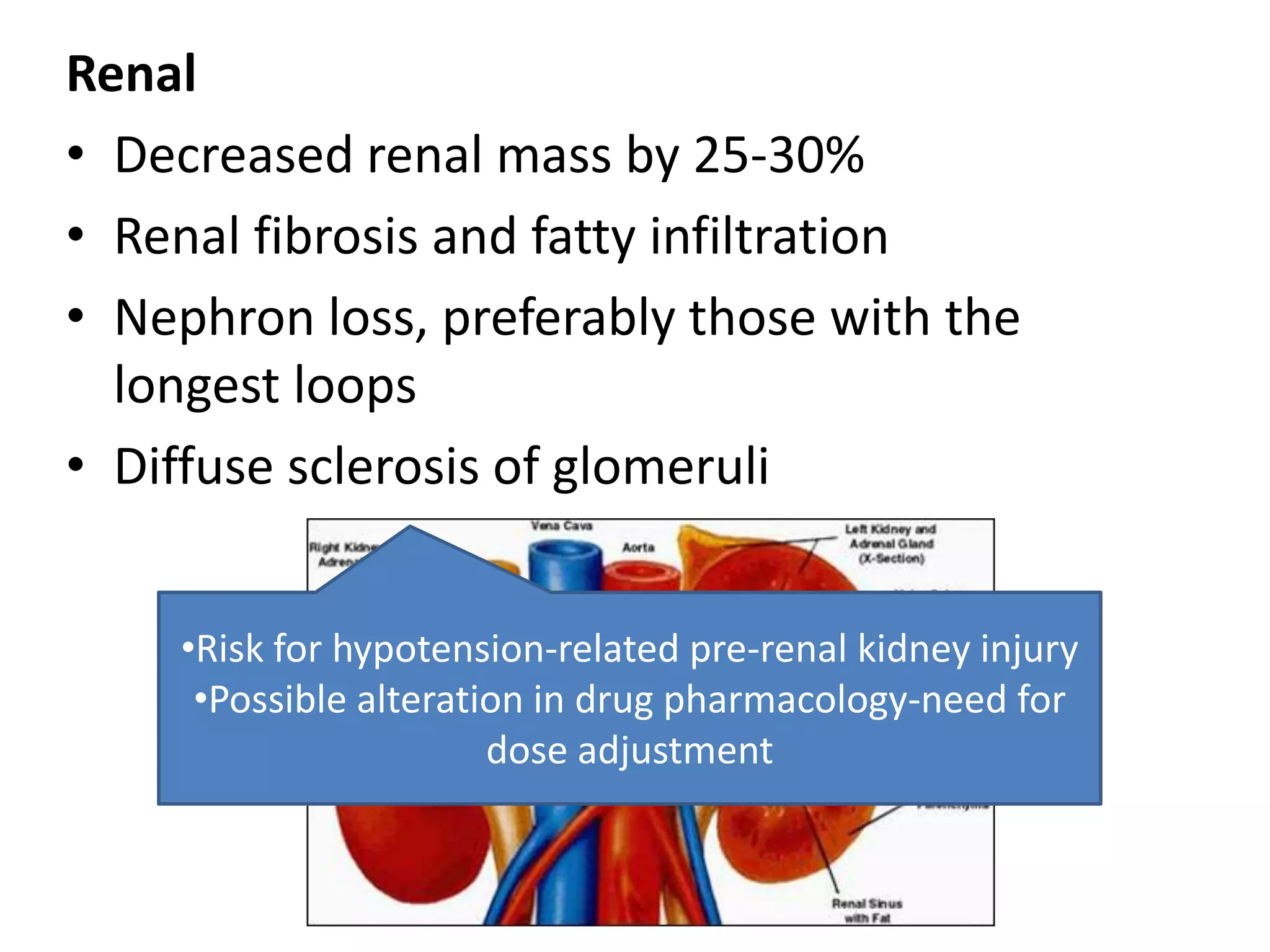 Renal
• Decreased renal mass by 25-30%
• Renal fibrosis and fatty infiltration
• Nephron loss, preferably those with the
  longest loops
• Diffuse sclerosis of glomeruli


    •Risk for hypotension-related pre-renal kidney injury
     •Possible alteration in drug pharmacology-need for
                       dose adjustment
 