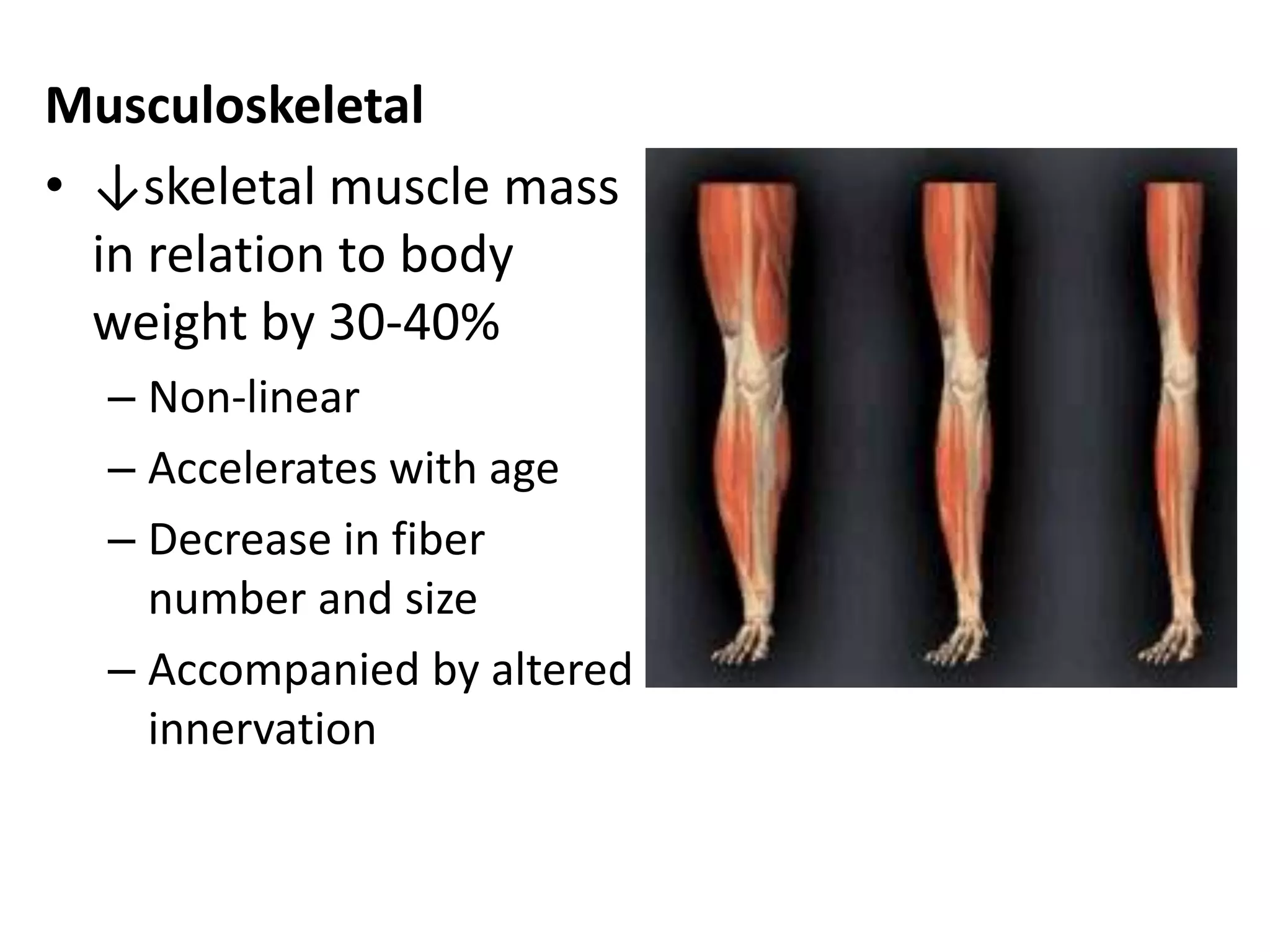 Musculoskeletal
• ↓skeletal muscle mass
  in relation to body
  weight by 30-40%
  – Non-linear
  – Accelerates with age
  – Decrease in fiber
    number and size
  – Accompanied by altered
    innervation
 