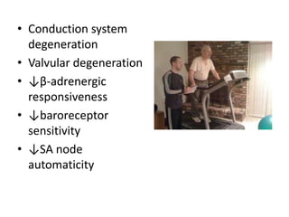 • Conduction system
  degeneration
• Valvular degeneration
• ↓β-adrenergic
  responsiveness
• ↓baroreceptor
  sensitivity
• ↓SA node
  automaticity
 