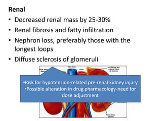 Renal
• Decreased renal mass by 25-30%
• Renal fibrosis and fatty infiltration
• Nephron loss, preferably those with the
  longest loops
• Diffuse sclerosis of glomeruli


    •Risk for hypotension-related pre-renal kidney injury
     •Possible alteration in drug pharmacology-need for
                       dose adjustment
 