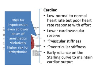 Cardiac
                  • Low-normal to normal
   •Risk for        heart rate but poor heart
 hypotension        rate response with effort
even at lower     • Lower cardiovascular
   doses of         reserve
 anesthetics
  •Relatively     • ↑vascular stiffness
higher risk for   • ↑ventricular stiffness
 arrhythmias      • Early reliance on the
                    Starling curve to maintain
                    cardiac output
 