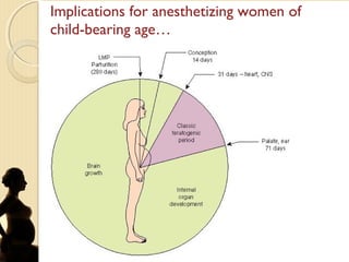 Implications for anesthetizing women of
child-bearing age…
 