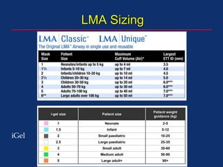 LMA Sizing
iGel
 