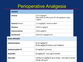 Perioperative Analgesia
 