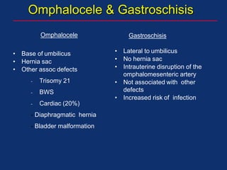 Omphalocele & Gastroschisis
Omphalocele
• Base of umbilicus
• Hernia sac
• Other assoc defects
- Trisomy 21
- BWS
- Cardiac (20%)
- Diaphragmatic hernia
- Bladder malformation
Gastroschisis
• Lateral to umbilicus
• No hernia sac
• Intrauterine disruption of the
omphalomesenteric artery
• Not associated with other
defects
• Increased risk of infection
 