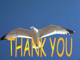 Anesthesia for toracic surgery