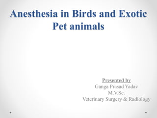 Anesthesia in Birds and Exotic
Pet animals
Presented by
Ganga Prasad Yadav
M.V.Sc.
Veterinary Surgery & Radiology
 