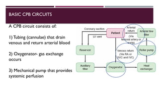 Comprehensive Anesthesia Management in Coronary Artery Bypass Grafting ...