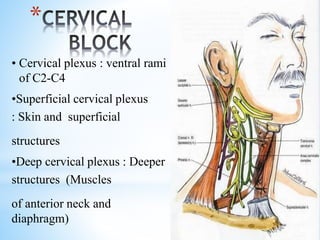 *
• Cervical plexus : ventral rami
of C2-C4
•Superficial cervical plexus
: Skin and superficial
structures
•Deep cervical plexus : Deeper
structures (Muscles
of anterior neck and
diaphragm)
 