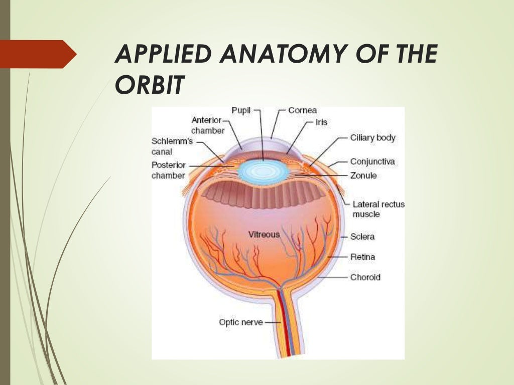 Anesthesia in ophthalmic surgery and complications