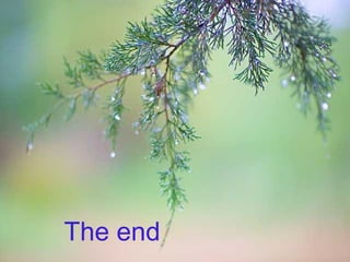 The end
 