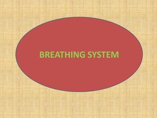 BREATHING SYSTEM
 