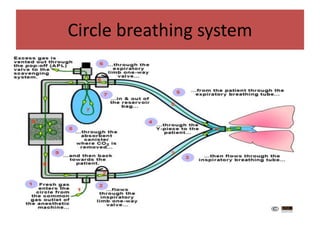Circle breathing system
 