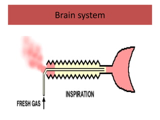 Brain system
 