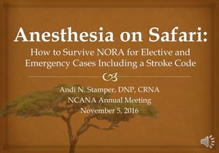 Andi N. Stamper, DNP, CRNA
NCANA Annual Meeting
November 5, 2016
 