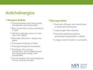 Anticholinergics
Atropine Sulfate
Contraindicated with tachycardia,
constipation and obstruction
May cause thick mucus secretions
in cats
Atropine esterase occurs in cats,
rats, and rabbits
Minimally effective in sheep and
goats
Increased incidence of bloat
Prolongs thiopental anesthesia
Overdose: dry mucous
membranes, thirst, dilated pupils
and tachycardia (dogs most
susceptible)
Can be treated with physostigmine
IV over several minutes
Glycopyrrolate
Reduces diffusion over blood brain
or placental membranes
Lasts longer than atropine
Prevents ketamine/xylazine
associated bradycardia in rabbits
Longer onset of action in ruminants
 