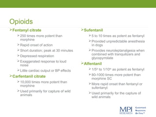 Opioids
Fentanyl citrate
250 times more potent than
morphine
Rapid onset of action
Short duration; peak at 30 minutes
Depressed respiration
Exaggerated response to loud
noise
Little cardiac output or BP effects
Carfentanil citrate
10,000 times more potent than
morphine
Used primarily for capture of wild
animals
Sufentanil
5 to 10 times as potent as fentanyl
Provided unpredictable anesthesia
in dogs
Provides neuroleptanalgesia when
combined with tranquilizers and
glycopyrrolate
Alfentanil
1/5th
to 1/10th
as potent as fentanyl
80-1000 times more potent than
morphine SC
More rapid onset than fentanyl or
sufentanyl
Used primarily for the capture of
wild animals
 