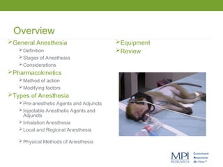 Overview
General Anesthesia
Definition
Stages of Anesthesia
Considerations
Pharmacokinetics
Method of action
Modifying factors
Types of Anesthesia
Pre-anesthetic Agents and Adjuncts
Injectable Anesthetic Agents and
Adjuncts
Inhalation Anesthesia
Local and Regional Anesthesia
Physical Methods of Anesthesia
Equipment
Review
 