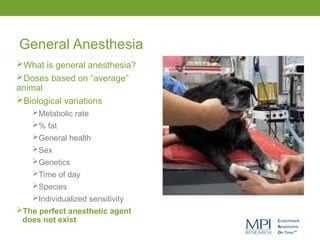 General Anesthesia
What is general anesthesia?
Doses based on “average”
animal
Biological variations
Metabolic rate
% fat
General health
Sex
Genetics
Time of day
Species
Individualized sensitivity
The perfect anesthetic agent
does not exist
 