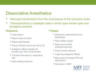 Dissociative Anesthetics
 Interrupts transmission from the unconscious to the conscious brain
 Characterized by a cataleptic state in which eyes remain open and
nystagmus present
Ketamine
Least potent
Rapid onset of action
Rapid redistribution
Tissue irritation due to low pH (3.5)
Analgesic effects greater for
somatic pain than visceral pain
Transient decrease in respiratory
rate
Hallucinatory behavior
Telazol
Tiletamine hydrochloride and
Zolazepam
Wide safety margin
Rapid and smooth
induction/recovery
Good muscle relaxant
Lingering analgesic effects
May cause increased HR and
respirations
Decrease in MAP
 