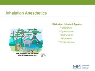 Inhalation Anesthetics
Historical Inhalant Agents
Chloroform
Cyclopropane
Diethyl ether
Fluroxene
Trichlorethylene
 