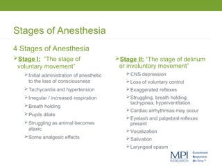 Stages of Anesthesia
4 Stages of Anesthesia
Stage I: “The stage of
voluntary movement”
Initial administration of anesthetic
to the loss of consciousness
Tachycardia and hypertension
Irregular / increased respiration
Breath holding
Pupils dilate
Struggling as animal becomes
ataxic
Some analgesic effects
Stage II: “The stage of delirium
or involuntary movement”
CNS depression
Loss of voluntary control
Exaggerated reflexes
Struggling, breath holding,
tachypnea, hyperventilation
Cardiac arrhythmias may occur
Eyelash and palpebral reflexes
present
Vocalization
Salivation
Laryngeal spasm
 