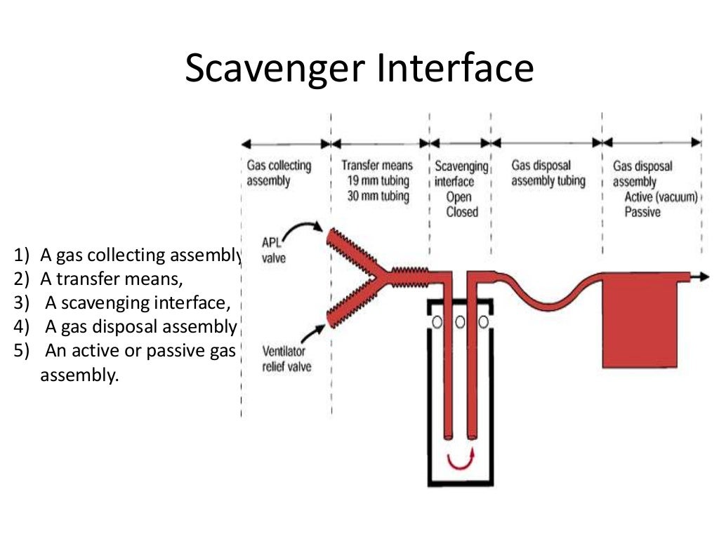 Anesthesia Ventilator