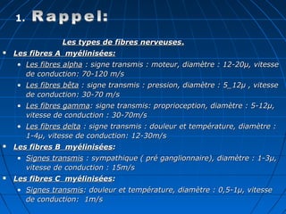 Les types de fibres nerveusesLes types de fibres nerveuses..
 Les fibres A myélinisées:Les fibres A myélinisées:
• Les fibres alphaLes fibres alpha : signe transmis : moteur, diamètre : 12-20µ, vitesse: signe transmis : moteur, diamètre : 12-20µ, vitesse
de conduction: 70-120 m/sde conduction: 70-120 m/s
• Les fibres bêtaLes fibres bêta : signe transmis : pression, diamètre : 5_12µ , vitesse: signe transmis : pression, diamètre : 5_12µ , vitesse
de conduction: 30-70 m/sde conduction: 30-70 m/s
• Les fibres gammaLes fibres gamma: signe transmis: proprioception, diamètre : 5-12µ,: signe transmis: proprioception, diamètre : 5-12µ,
vitesse de conduction : 30-70m/svitesse de conduction : 30-70m/s
• Les fibres deltaLes fibres delta : signe transmis : douleur et température, diamètre :: signe transmis : douleur et température, diamètre :
1-4µ, vitesse de conduction: 12-30m/s1-4µ, vitesse de conduction: 12-30m/s
 Les fibres B myéliniséesLes fibres B myélinisées::
• Signes transmisSignes transmis : sympathique ( pré ganglionnaire), diamètre : 1-3µ,: sympathique ( pré ganglionnaire), diamètre : 1-3µ,
vitesse de conduction : 15m/svitesse de conduction : 15m/s
 Les fibres C myéliniséesLes fibres C myélinisées::
• Signes transmisSignes transmis: douleur et température, diamètre : 0,5-1µ, vitesse: douleur et température, diamètre : 0,5-1µ, vitesse
de conduction: 1m/sde conduction: 1m/s
1.
 