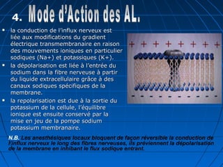4.
 la conduction de l’influx nerveux estla conduction de l’influx nerveux est
liée aux modifications du gradientliée aux modifications du gradient
électrique transmembranaire en raisonélectrique transmembranaire en raison
des mouvements ioniques en particulierdes mouvements ioniques en particulier
sodiques (Na+) et potassiques (K+).sodiques (Na+) et potassiques (K+).
 la dépolarisation est liée à l’entrée dula dépolarisation est liée à l’entrée du
sodium dans la fibre nerveuse à partirsodium dans la fibre nerveuse à partir
du liquide extracellulaire grâce à desdu liquide extracellulaire grâce à des
canaux sodiques spécifiques de lacanaux sodiques spécifiques de la
membrane.membrane.
 la repolarisation est due à la sortie dula repolarisation est due à la sortie du
potassium de la cellule, l’équilibrepotassium de la cellule, l’équilibre
ionique est ensuite conservé par laionique est ensuite conservé par la
mise en jeu de la pompe sodiummise en jeu de la pompe sodium
potassium membranaire.potassium membranaire.
N.B. Les anesthésiques locaux bloquent de façon réversible la conduction de
l’influx nerveux le long des fibres nerveuses, ils préviennent la dépolarisation
de la membrane en inhibant le flux sodique entrant.
 