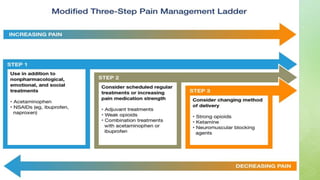 Pain Management Presentation | PPTX