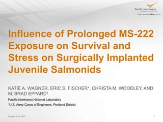 Wagner et al. 2013 1
Influence of Prolonged MS-222
Exposure on Survival and
Stress on Surgically Implanted
Juvenile Salmonids
KATIE A. WAGNER, ERIC S. FISCHER*, CHRISTA M. WOODLEY, AND
M. BRAD EPPARD1
Pacific Northwest National Laboratory
1U.S. Army Corps of Engineers, Portland District
 